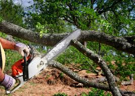 Seasonal Cleanup (Spring/Fall) in Gray Summit, MO